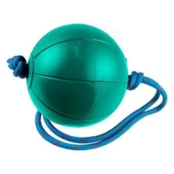 Gym Ball With Rope -sport Sales 2023 1153003 518ef237 0885 4980 aa44 b58ba97dd203