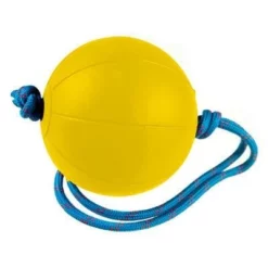 Gym Ball With Rope -sport Sales 2023 1153004 eaaaca95 e75c 4354 92ae 47815d3d1f5b